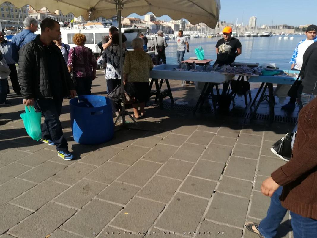 014- Marseille Vieux-Port.jpg - dav